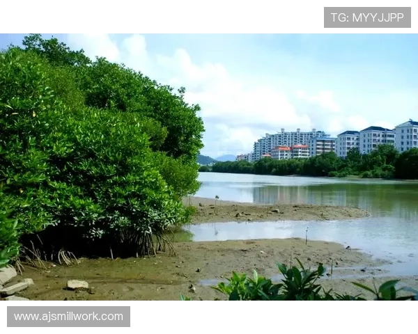 红树林娱乐:结合生态保护与娱乐休闲的创新项目,打造绿色旅游新热点 红树林娱乐:结合生态保护与娱乐休闲的创新项目,打造绿色旅游新热点